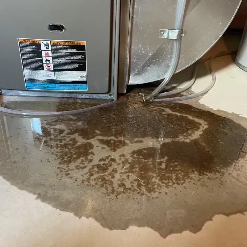 Appliance Leak Cleanup in Northville, NY